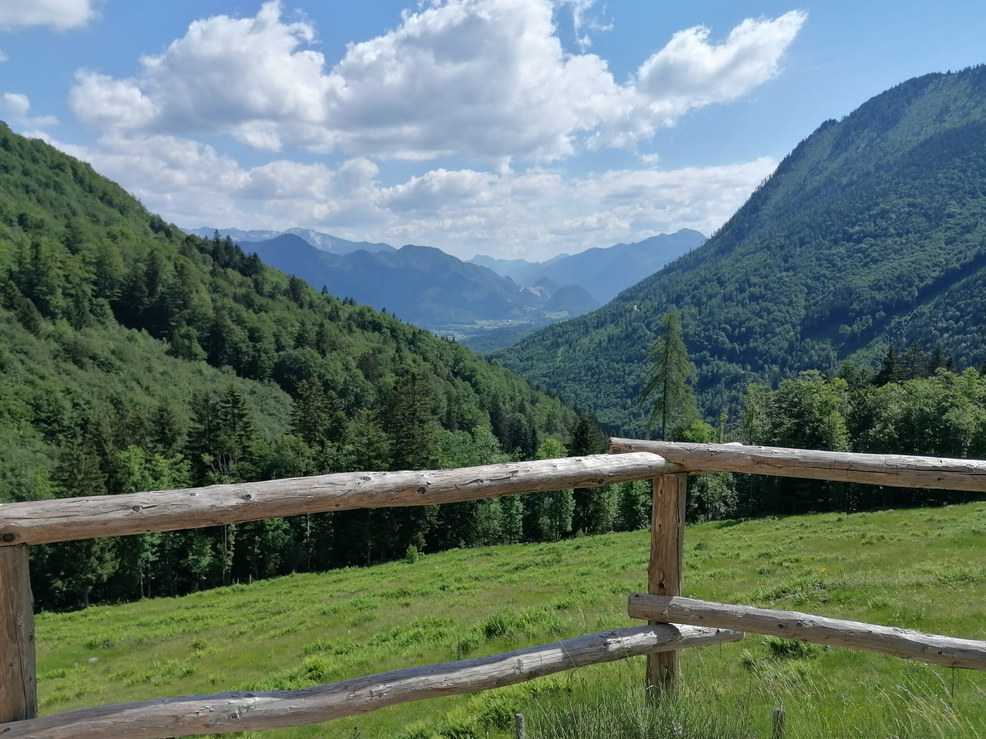 Blick von der Alm